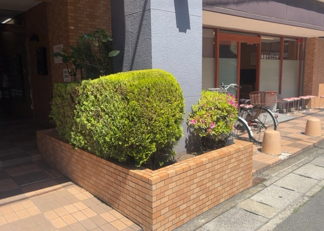 【中庭】 | ライオンズマンション淵野辺 | 中庭（パティオ）とは、一つの建築物の内部に設けられた、壁などで囲われている庭のことを指します。コの字型、ロの字型が主流ですが、L字型の中庭もあります。最近では、インテリア性の高さからも人気があります。