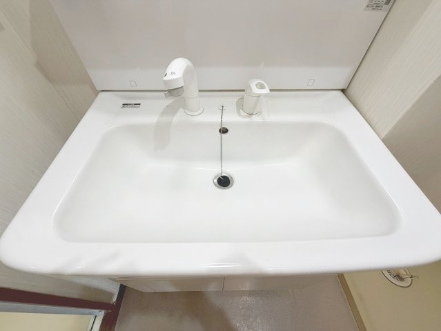 アメニティマンションⅡの洗面所