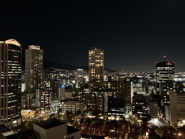 ライオンズタワー神戸旧居留地の展望