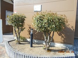 レオパレスジュネス灯明寺のその他