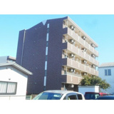 Pulitoの画像