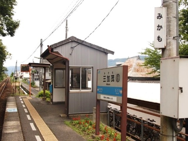 イリーデの周辺|ＪＲ三加茂駅まで1100m