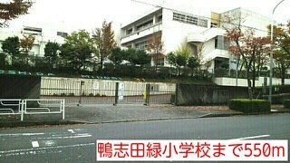 クローバー　ガーデンの周辺|鴨志田緑小学校まで550m