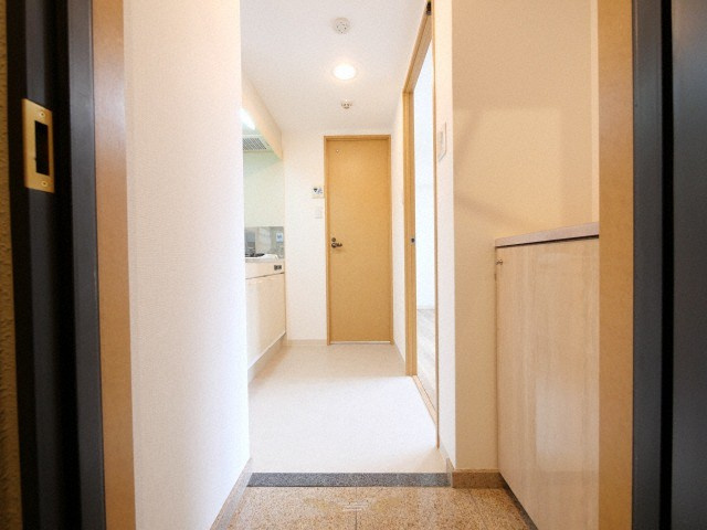 大阪市西区西本町２丁目の賃貸マンションの玄関