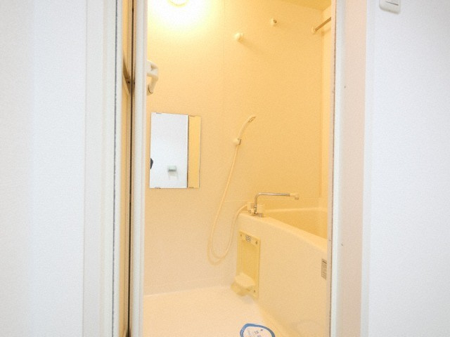 大阪市西区西本町２丁目の賃貸マンションの浴室