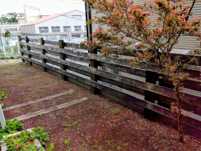 売中古戸建　富士市石坂の庭|お花や、シンボルツリーが植えられます。季節の変化が楽しめます。