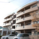 Belle Collineの画像