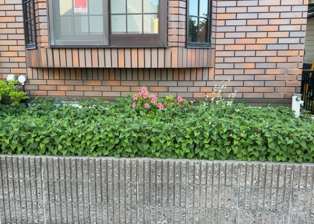 【庭】 | 庭があることでガーデニングや家庭菜園はもちろん、こどもの遊び場やペットを放して遊ぶことができます。また、家の周囲に余裕があるということです。隣地との間があれば、十分な日当たりと、風通しが確保できます。