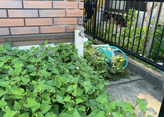 【設備】 | 敷地内に散水栓や立水栓があると便利です。水道水を直接利用できるため、水を運ぶ手間を省くことが出来ます。大量の水を必要とする洗車作業や清掃などに役立ちます。その他設備とあわせて、現地でご確認ください。