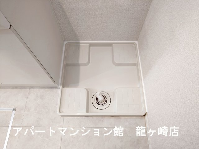トリシア花水木 Ｍのその他