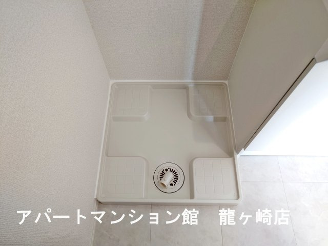 トリシア花水木 Ｍのその他