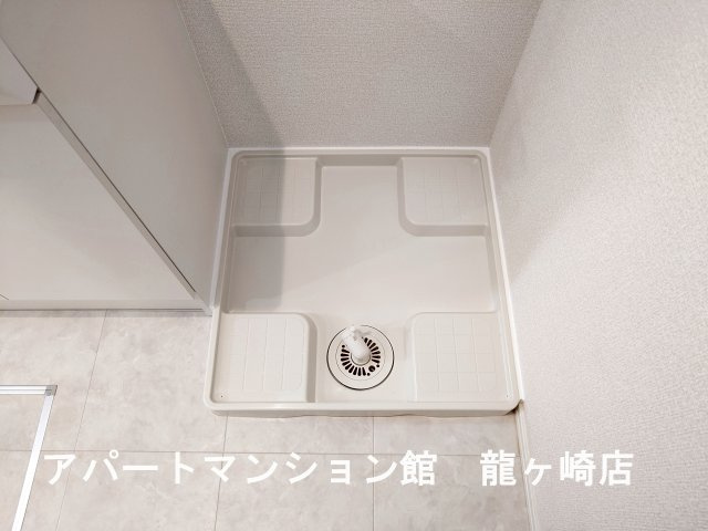 トリシア花水木 Ｙのその他