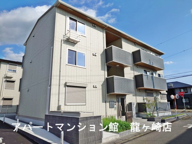 トリシア花水木 Ｙ