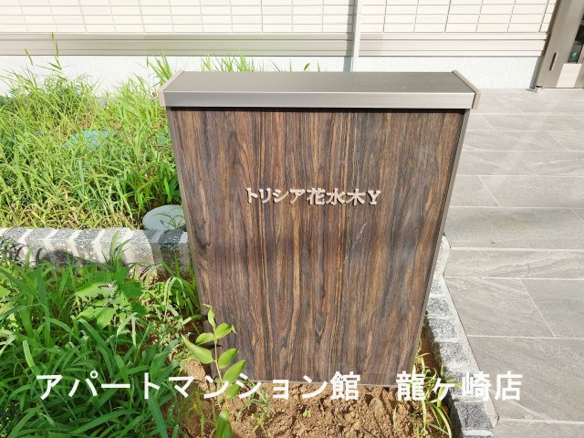 トリシア花水木 Ｙのエントランス