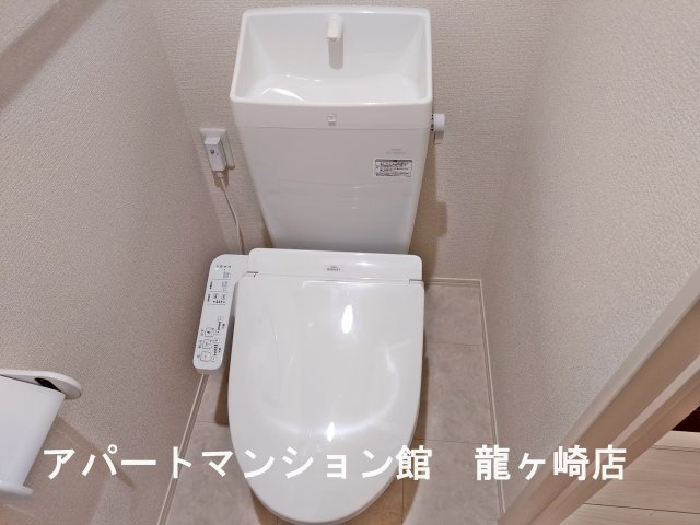 トリシア花水木 Ｙのトイレ