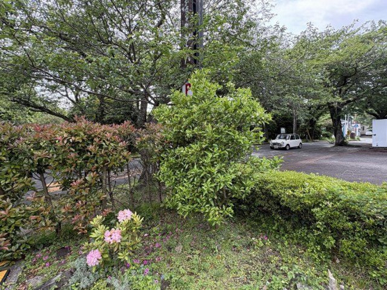 【庭】 | 伊豆急伊豆高原　戸建