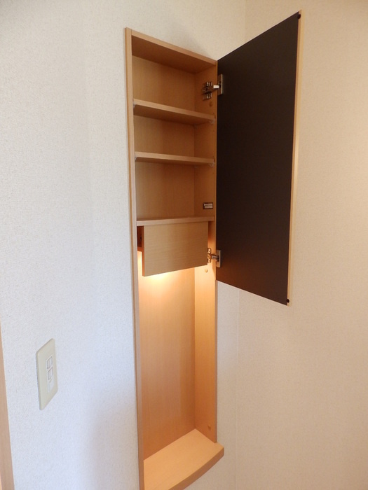 セジュールヴァンセンヌ B棟の収納