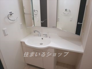 フローラル清水　Ａ棟の洗面所|三面鏡付き大型シャンプードレッサー