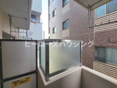 【展望】 | ラクーンドッグ