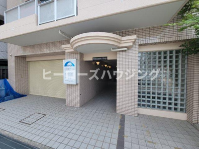 【エントランス】 | ラクーンドッグ