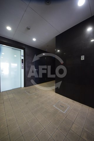 グランパシフィック難波南のエントランス|グランパシフィック難波南　エントランス