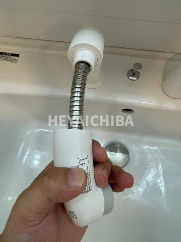 グランカーサ上野入谷の洗面所|シャワー付き洗面台
