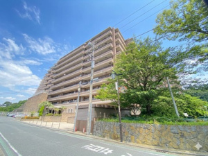 日神パレステージ湘南久里浜9階の画像