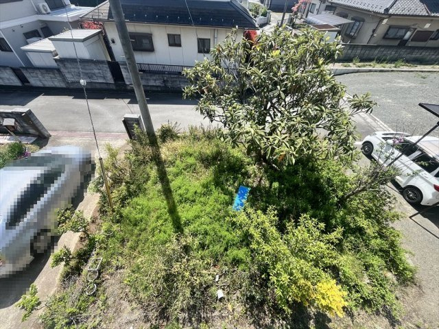 百々戸建て４DKの庭