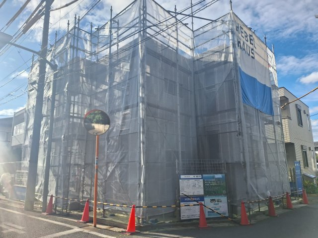 石蕗小路Ⅲ