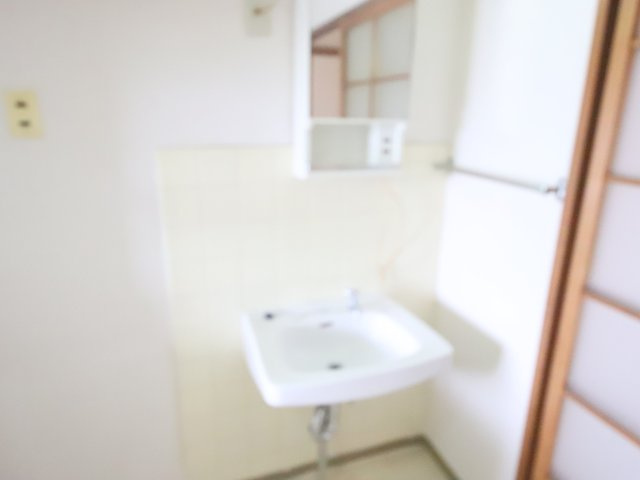 大和ビルマンションA棟の洗面所