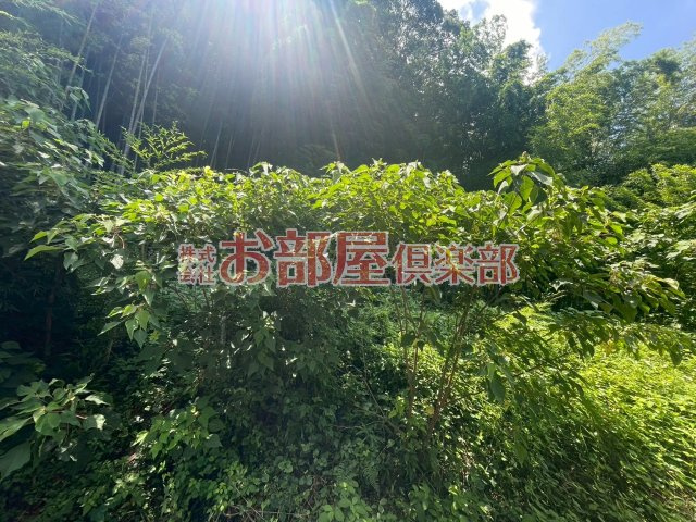 かぐや姫パークBの展望