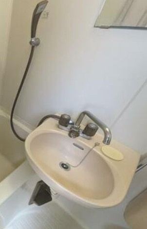 グリーンコートタカミの洗面所