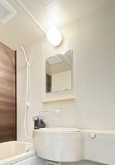 相模原市中央区相模原２丁目の賃貸マンションの洗面所