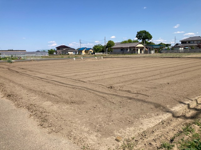 鴻巣市屈巣　売地２区画の外観