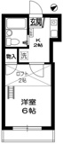 Ａｐａ花の木の画像