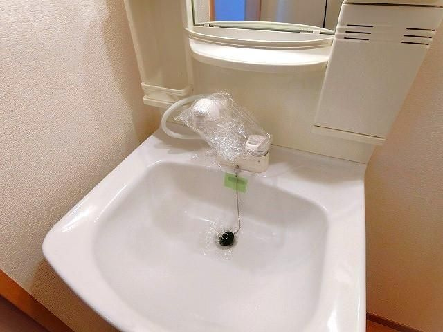 メゾンデルフィの独立洗面台