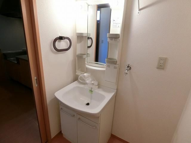 メゾンデルフィの洗面所