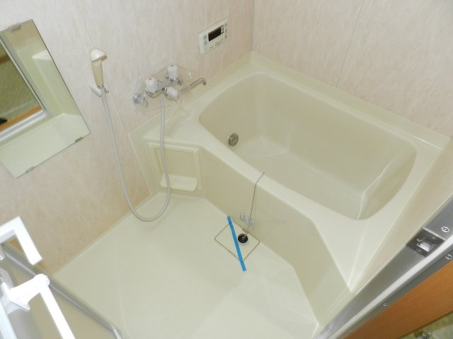 アリビオ若山の浴室