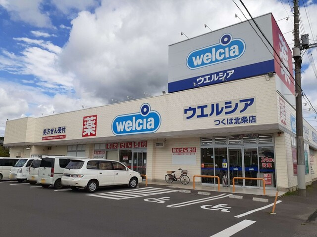 コンティニーの周辺|その他