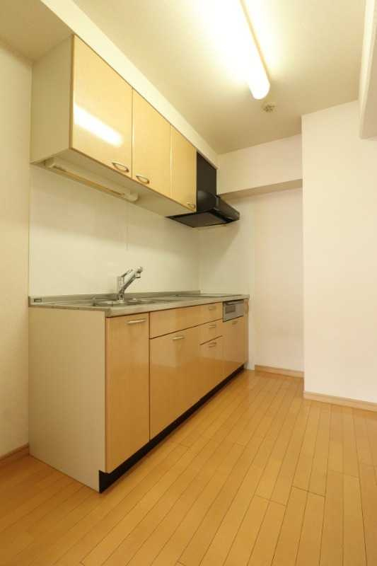 東大和市上北台２丁目の賃貸マンションのキッチン