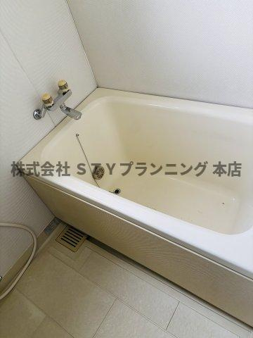 仲介手数料0円！インテリジェント星ヶ丘II号館の浴室