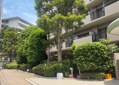 【中庭】 | サンヴェール相模原 | 中庭（パティオ）とは、一つの建築物の内部に設けられた、壁などで囲われている庭のことを指します。コの字型、ロの字型が主流ですが、L字型の中庭もあります。最近では、インテリア性の高さからも人気があります。