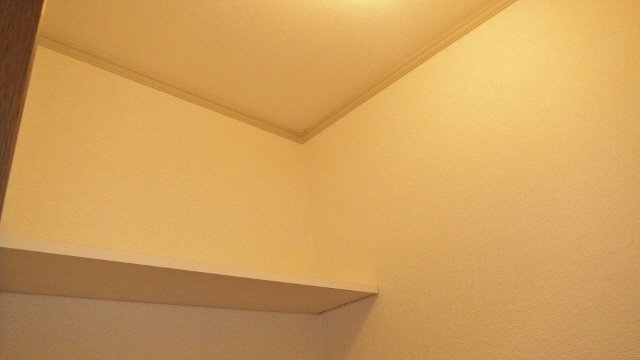 トリムエステートⅣのトイレ|トイレの収納棚
