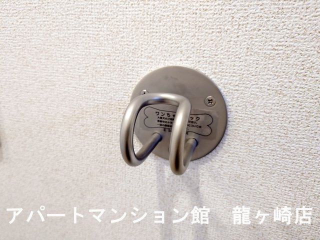 シェノンⅤの設備