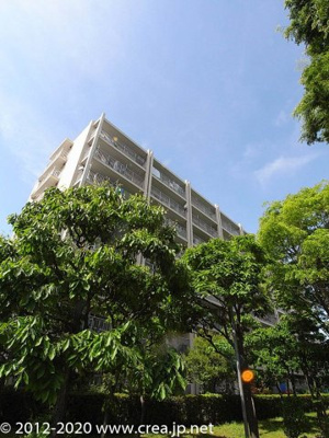 【和室】 | 志木ニュータウン南の森壱番街１３号棟