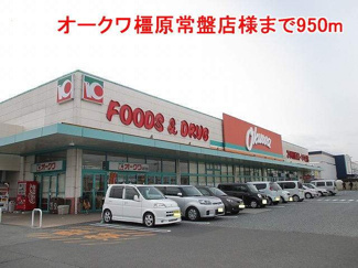 【周辺】 | サンドエル藤の木