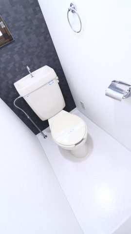 タウンハウス久兼のトイレ
