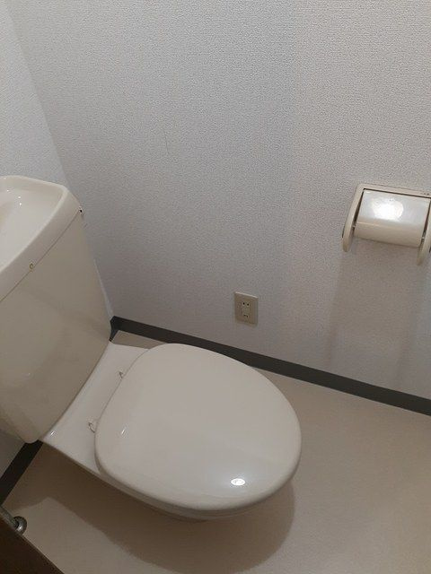 グリ－ン１４のトイレ