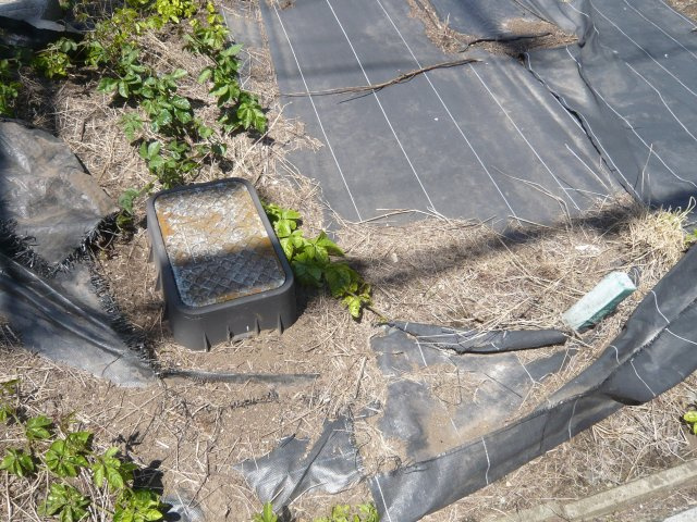 小山市羽川の周辺