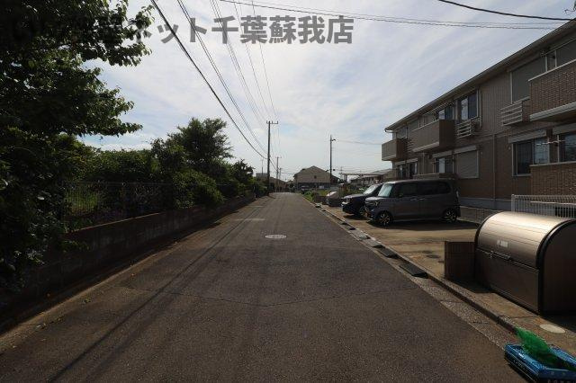 クローバーの周辺